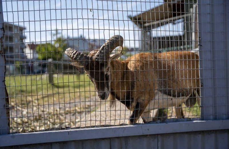 Campingduinzicht17 lr 057