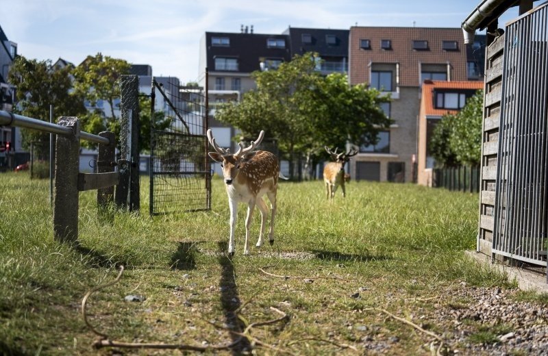 Campingduinzicht17 lr 060 691ca34667490