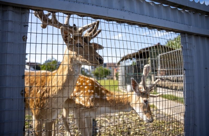 Campingduinzicht17 lr 061 691ca346c1a40