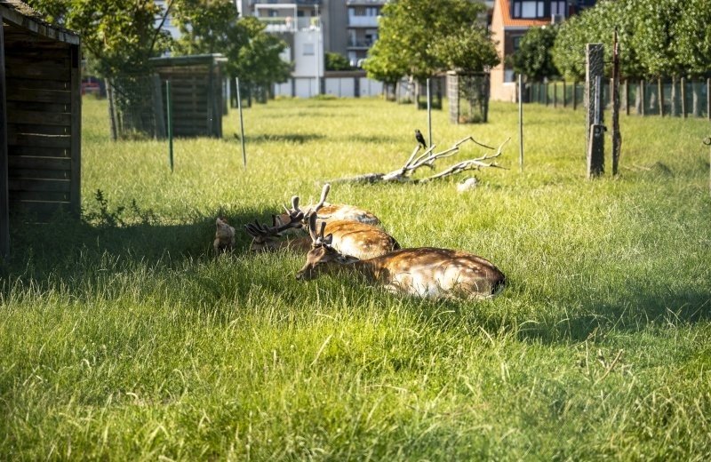 Campingduinzicht17 lr 063 691ca349ee7d8