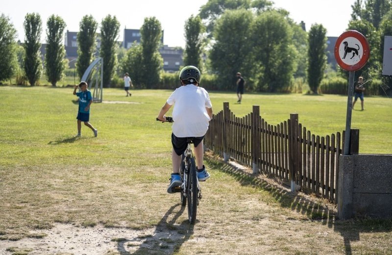 Campingduinzicht17 lr 099